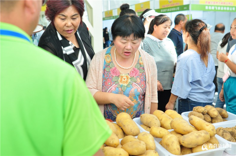 首届全国养生食材交易会平度启动 近三百种食材惊艳亮相